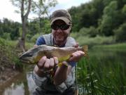Dry fly Brown trout, May